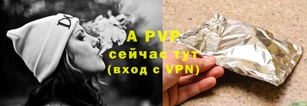 СК Елизово