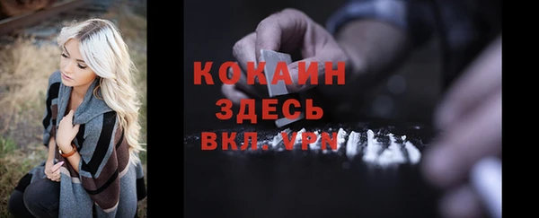 прущий лед Ельня