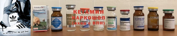 ПСИЛОЦИБИНОВЫЕ ГРИБЫ Заволжье