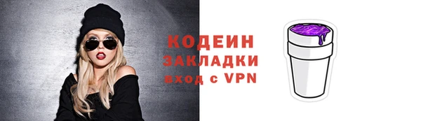 СК Елизово