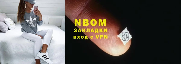 ПСИЛОЦИБИНОВЫЕ ГРИБЫ Заволжье