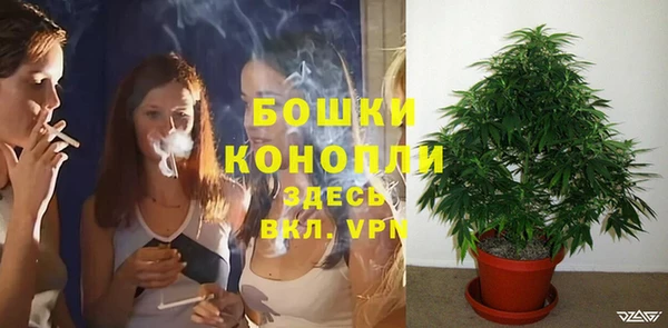 ПСИЛОЦИБИНОВЫЕ ГРИБЫ Заволжье